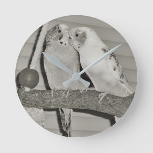 Lovebirds Rund Klocka