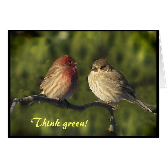 Lovebirdsjorddag OBS Kort (Framsidan Horizontal)