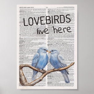 Lovefåglar bor här poster