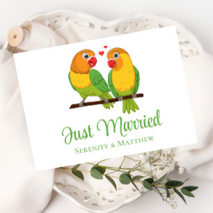 Lovefåglar Nature Love birds Ny gifta Bröllop Meddelande Vykort