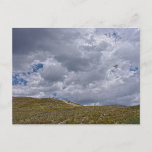 Loveland Pass Hikers, Colorado Vykort