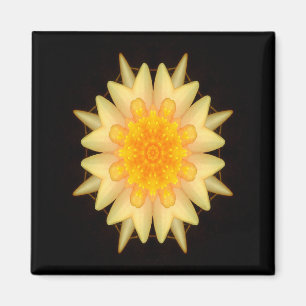 Loveliness… Magnet