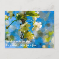 Lovely Cherry Blossoms
