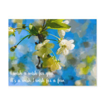 Lovely Cherry Blossoms