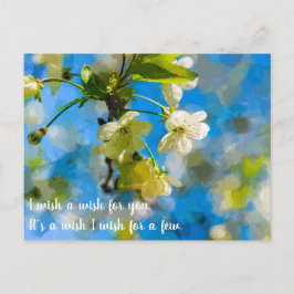 Lovely Cherry Blossoms Vykort