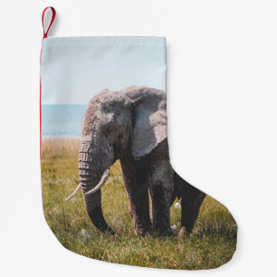LOVELY ELEPHANT LITEN JULSTRUMPA