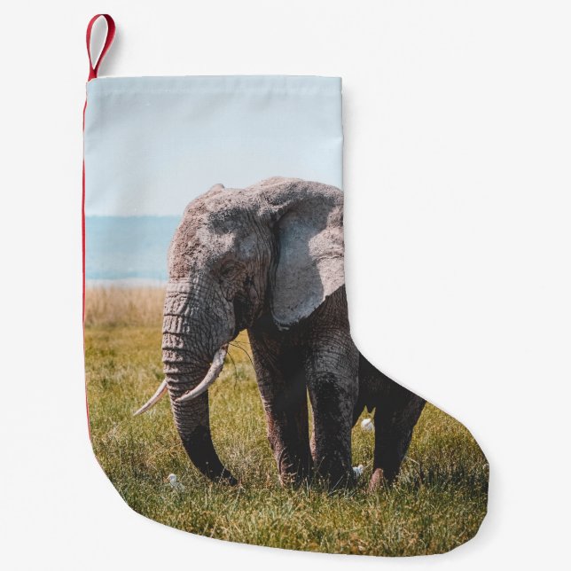 LOVELY ELEPHANT LITEN JULSTRUMPA (Framsidan)