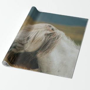 LOVELY HORSE COUPLE PRESENTPAPPER