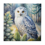 Lovely Snowy Owl Kakelplatta<br><div class="desc">A snowy owl on a branch</div>
