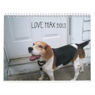 LOVEMAX 2013 KALENDER
