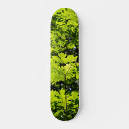 Löven sol-Dappled i skogen Mini Skateboard Bräda 18,5 Cm