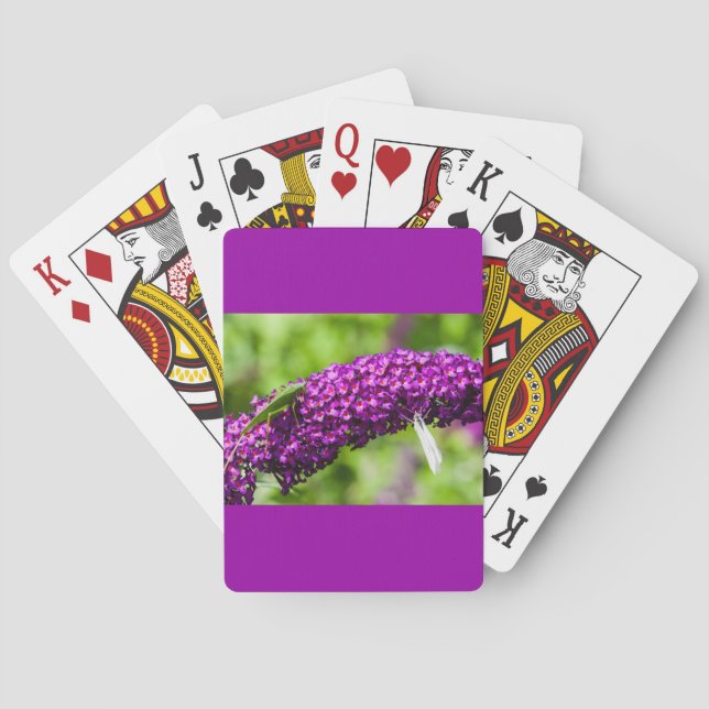 lövgömma energi casinokort (Baksidan)