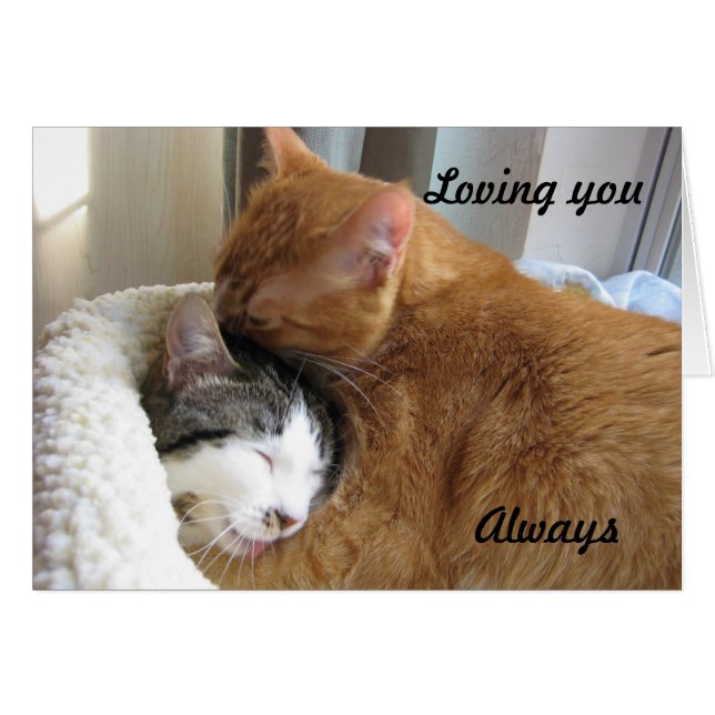 Loving dig, alltid 036 hälsningskort (Framsidan Horizontal)