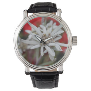 Loving Edelweiss Leontopodium nivale Armbandsur