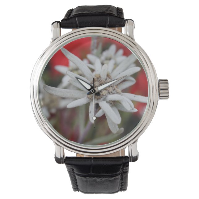 Loving Edelweiss Leontopodium nivale Armbandsur (Framsida)