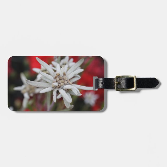 Loving Edelweiss Leontopodium nivale Bagagebricka (Horisontell Framsida)