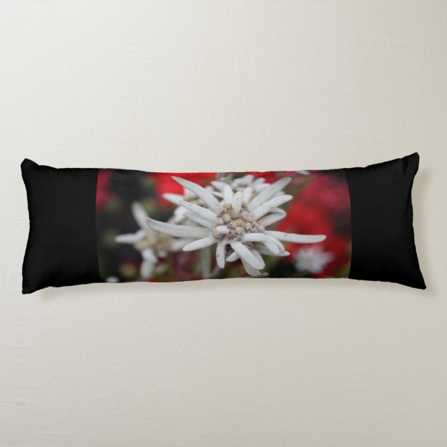 Loving Edelweiss Leontopodium nivale Kroppskudde (Baksidan)