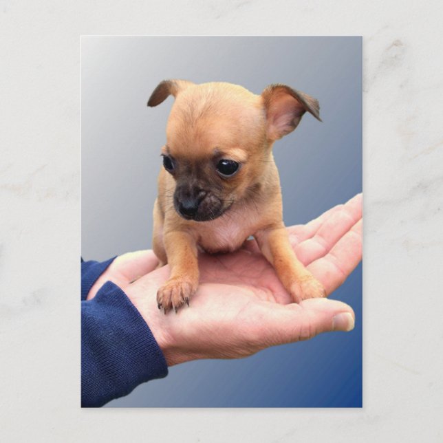 Loving Händer Vykort (Framsida)