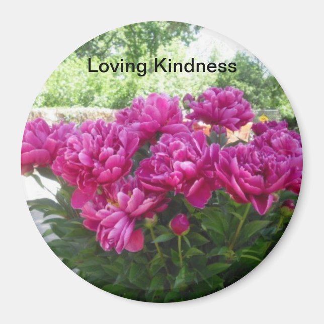 Loving Kindness Peony Magnet (Framsidan)