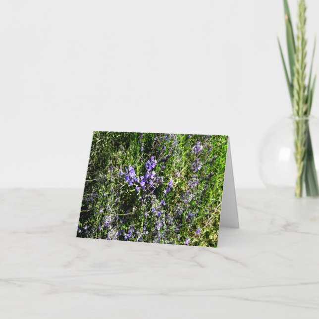 Loving Lavender.... Kort (Framsida)