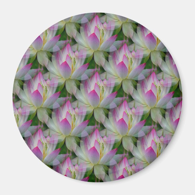 Loving Lotus... Magnet (Framsidan)