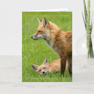 Loving Öga Foxes Kort