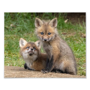 Loving Ögon Fototryck