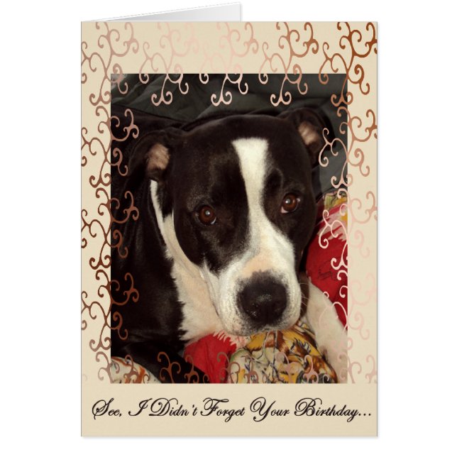 Loving Ögon Hälsningskort (Framsidan)