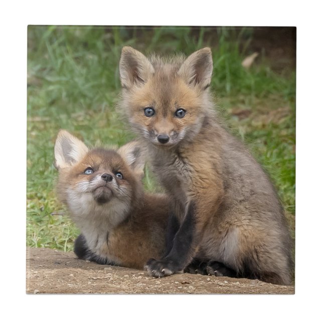 Loving Ögon Kakelplatta (Framsidan)