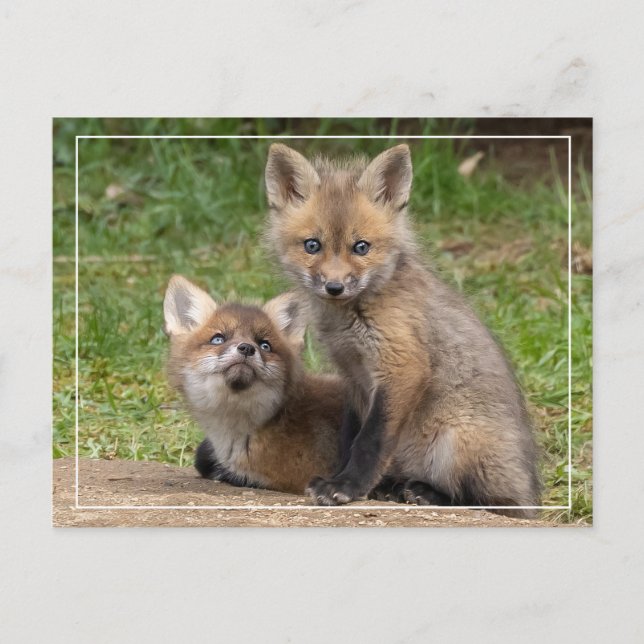 Loving Ögon Vykort (Framsida)