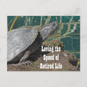 Loving Retrött Life Humous Turtle Photo Funny Vykort