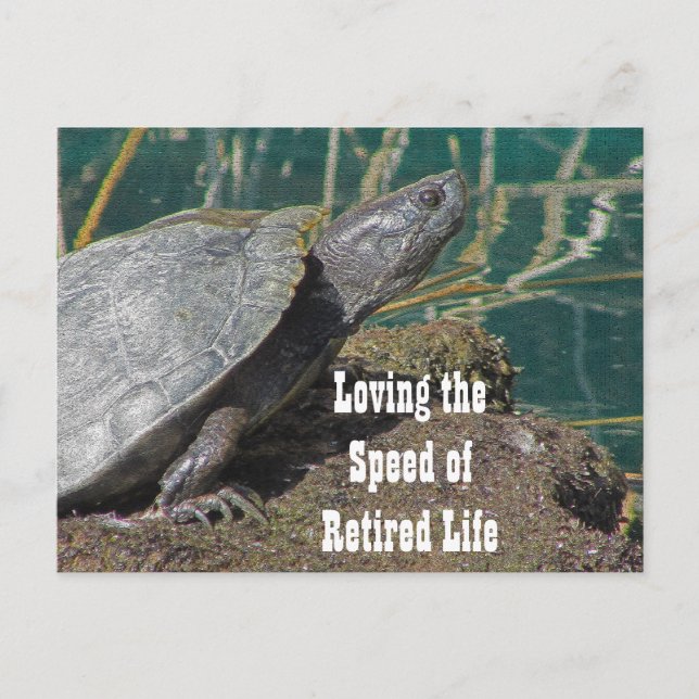 Loving Retrött Life Humous Turtle Photo Funny Vykort (Framsida)