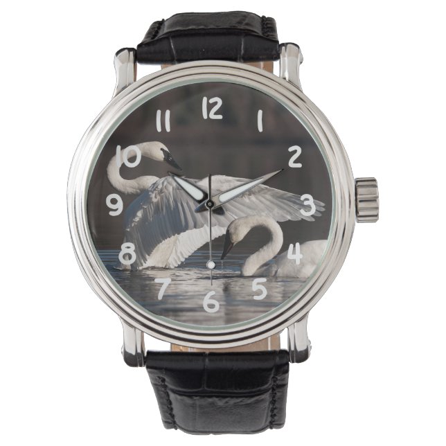 Loving Svanar Armbandsur (Framsida)