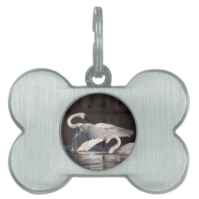 Loving Svanar ID-bricka Husdjur (Framsidan)