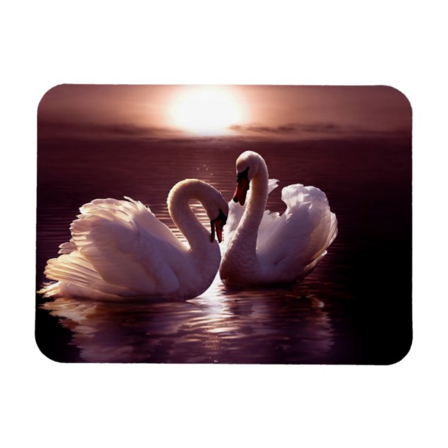 Loving Svanar som bildar ett hjärta Magnet (Horisontell)