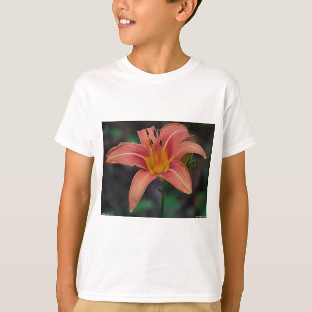 Loving Tawny Daylily Apparel and Gifts Tee Shirt (Framsida)