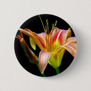 Loving Tawny Daylily II Apparel och presenter Knapp