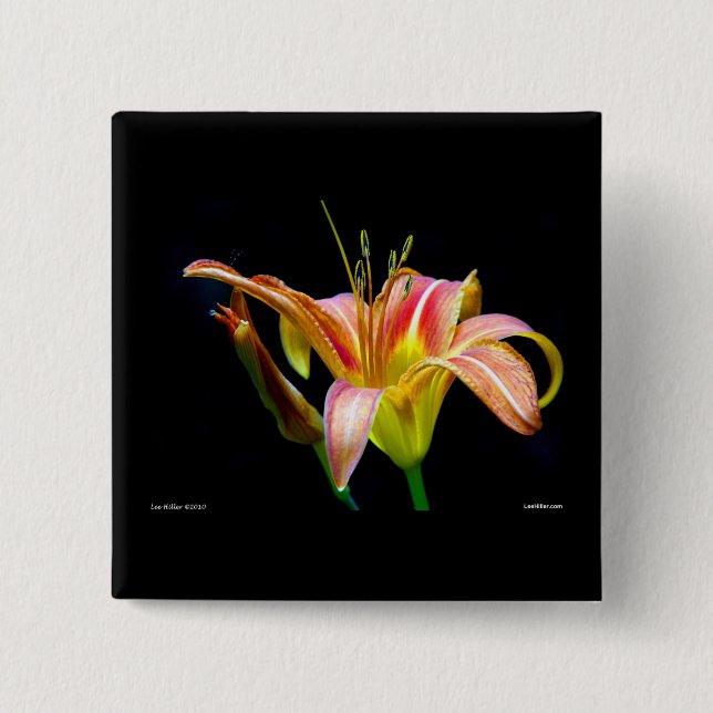 Loving Tawny Daylily II Apparel och presenter Knapp (Framsida)