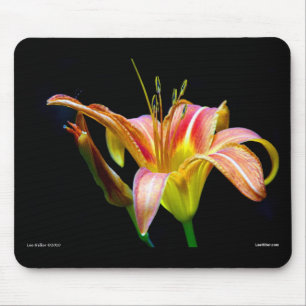 Loving Tawny Daylily II Apparel och presenter Musmatta