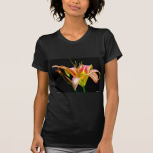 Loving Tawny Daylily II Apparel och presenter Tröja