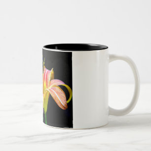 Loving Tawny Daylily II Apparel och presenter Två-Tonad Mugg