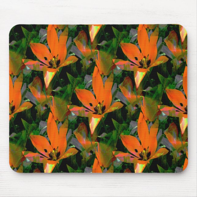 Loving Tulips... Musmatta (Framsidan)