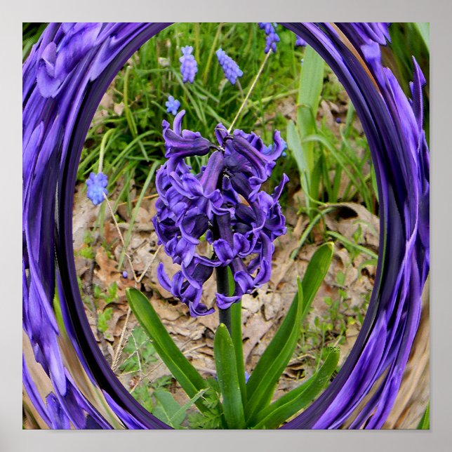 Loving Vår Garden.... Poster (Framsidan)