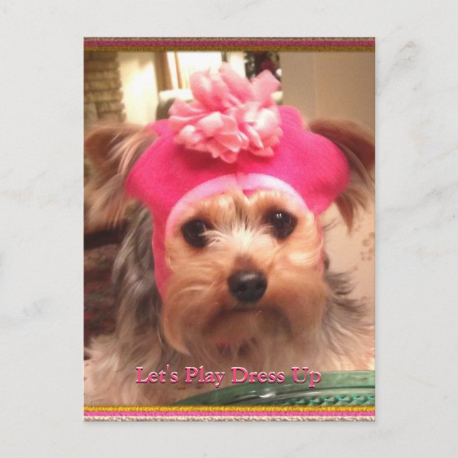 Loving Yorkies in Hats Postcard Vykort (Framsida)