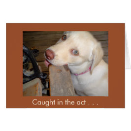 Loving You Gul lab. Hälsningskort