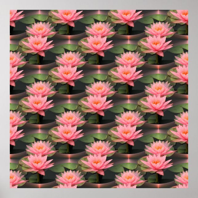 Lovin'Lilies... Poster (Framsidan)