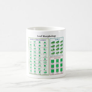 Lövmorfologi kartlägger kaffemugg