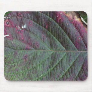 lövmousepad musmatta