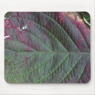 lövmousepad musmatta