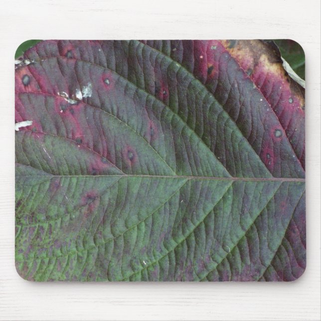lövmousepad musmatta (Framsidan)